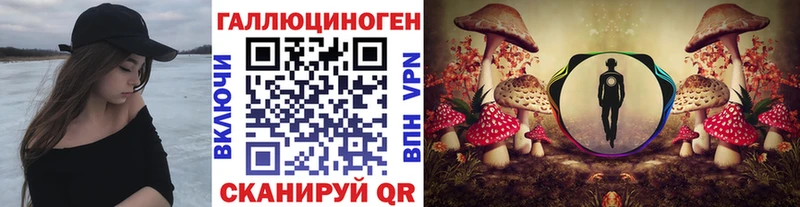 Псилоцибиновые грибы Cubensis  Купить где  Славянск-на-Кубани 